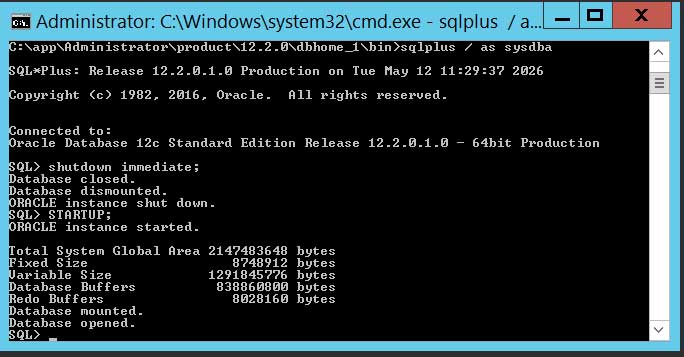 Startup database tanpa parameter file.
