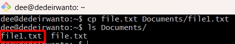 Output perintah cp dengan nama file berbeda.