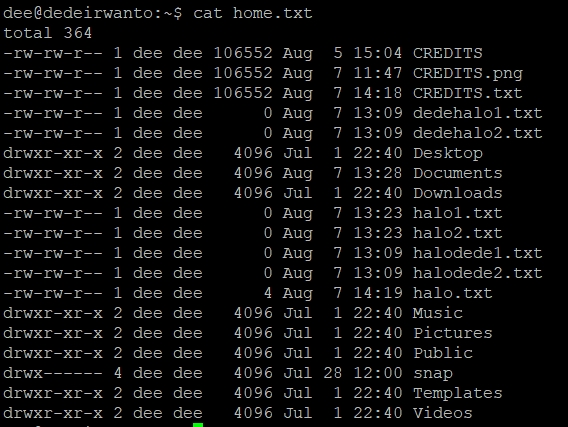 Isi dari file home.txt
