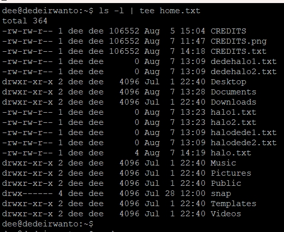 Output dari perintah tee